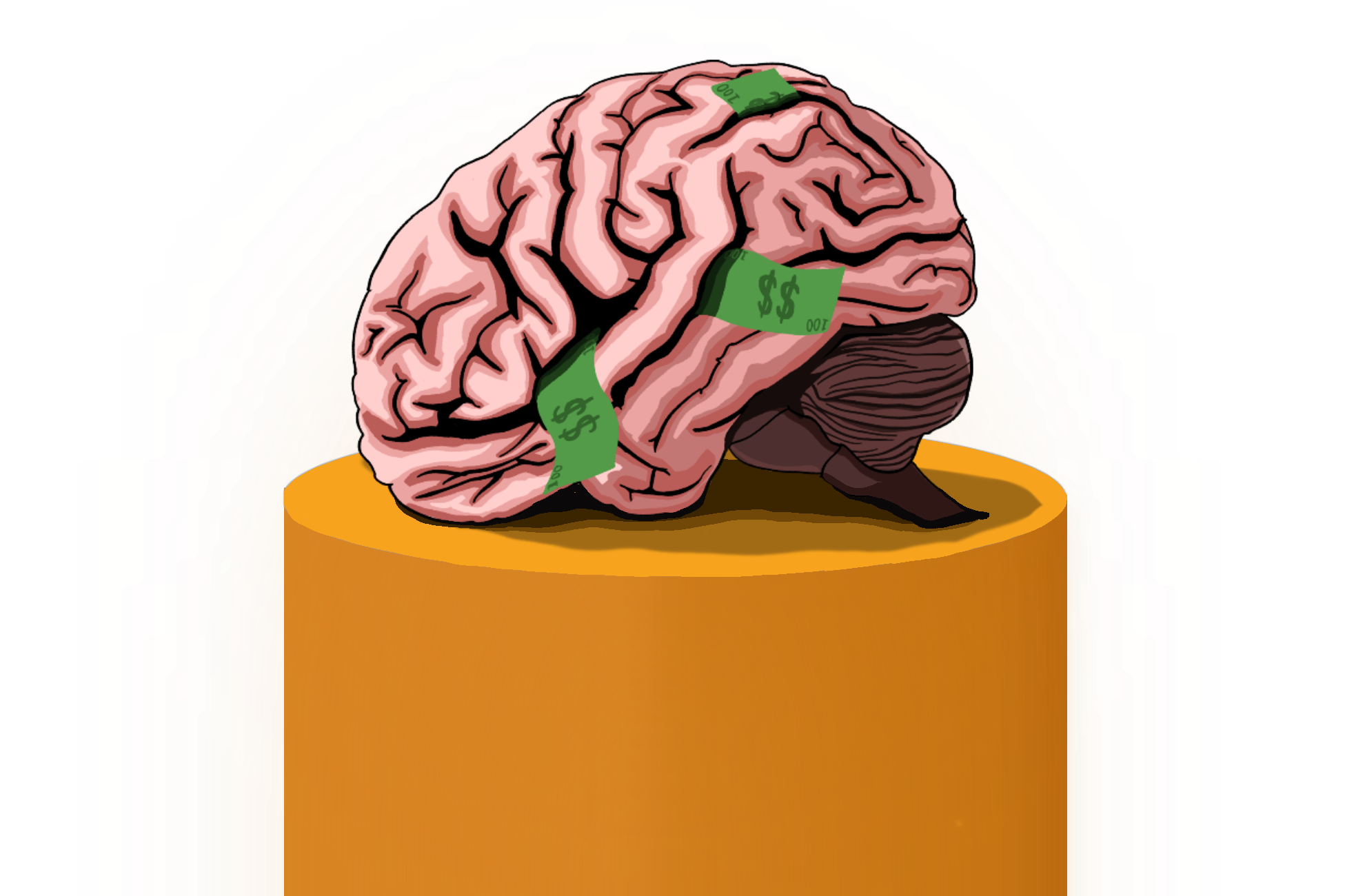 Brain illustration